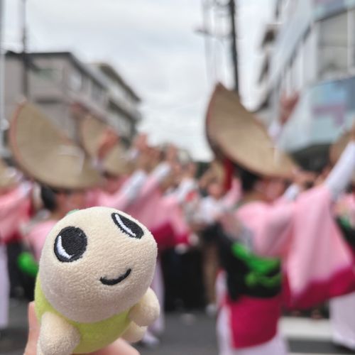 今年も来たよ！高円寺の阿波踊り！