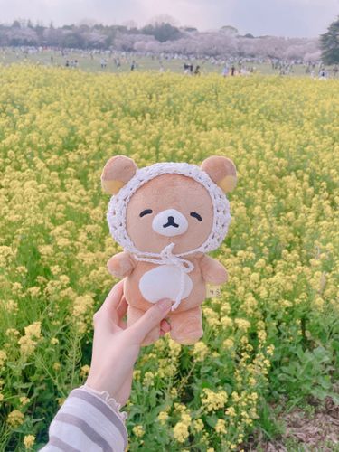 春にお花見行ったときのゆるぽかちゃん