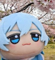 たまき