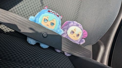 車の中を侵略してやったワル