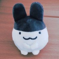 みみぴょん
