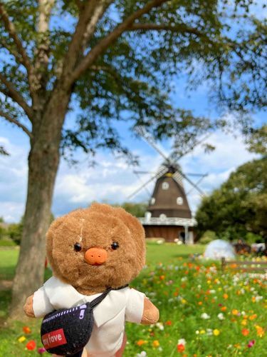 少しだけ涼しくなってきたからやっとおでかけできたぬん🎶
暑いのが1番苦手ぬん〜💦