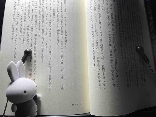 こわい本を読むみっさん