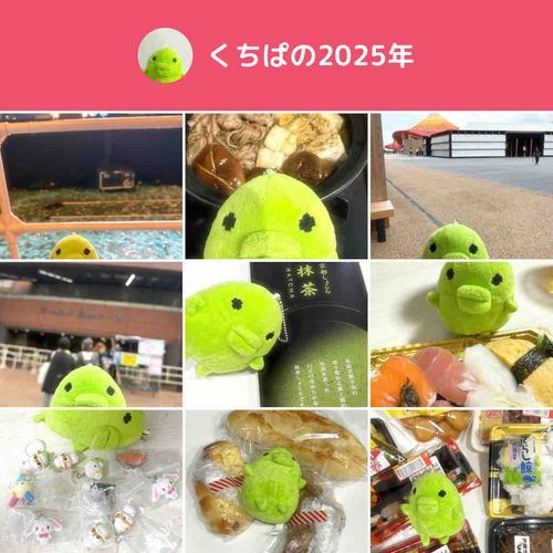 今年も1年仲良くしてくれてありがとだっち😭💗来年ももっと仲良しだっち!
2026年は投稿頻度を増やすだっち❤️‍🔥