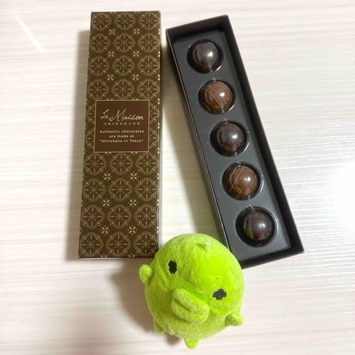 どうしてもお酒の入ってるチョコが食べたくてホワイトデーの催事で買ったチョコだっち!