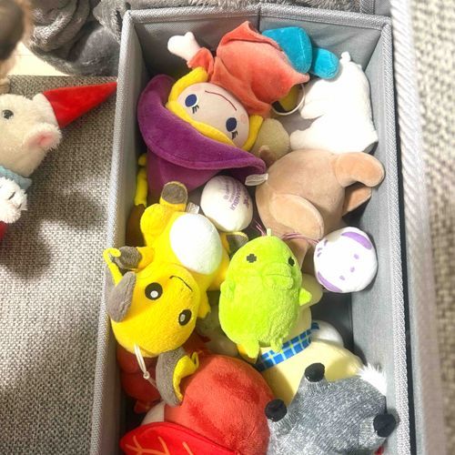 くちぱ元気だっち、、くちぱ犬のおもちゃ箱に埋もれてただっち、、