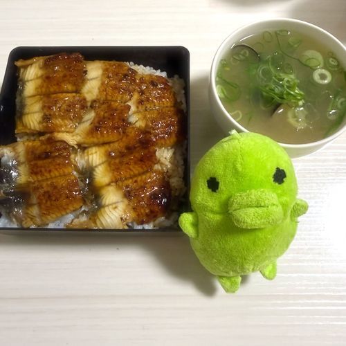 今年はおせちのお重につっこんでお店風にしただっち!