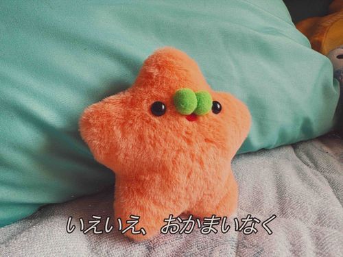 誰かが訪ねてくるのは 久しぶりなので
ちいさいこ用の ティーカップは
どこいっちゃったっけ？