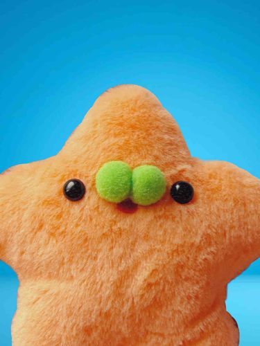 証明写真を撮影して
ぬいぐるみとしての身分を証明しよう！
安定した生活を手に入れよう！