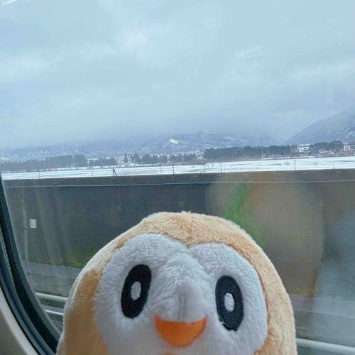 もふぅ❄️🌨
