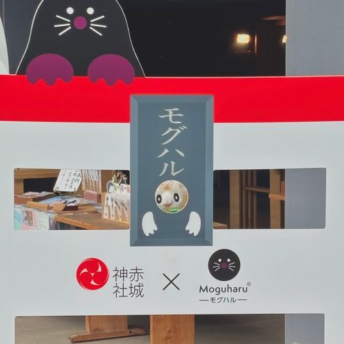 もふぅ⛩