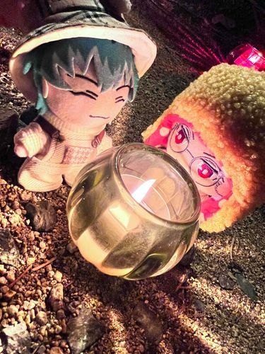 ろぬといっしょにクリスマスイベント行ってきたでー
偽モンの火だとおもてたのに、本物やった！！
ろぬ………近づきすぎて燃えんようにな？ふりちゃうで！！？