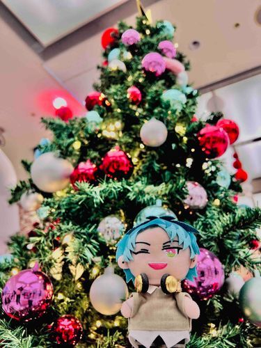 メリークリスマス🎄