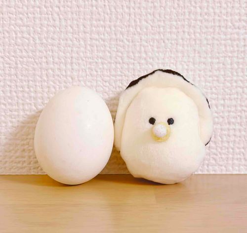 おはようございます
卵と同じサイズであることが判明したのは良いのですが卵に合わせて少し形を整えられたことだけは不満です