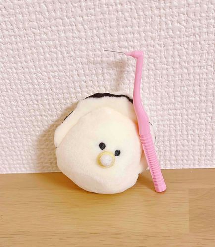 奥歯に挟まったチキン、エノキ、ニラ、ナッツ、コーン！お任せください！出張歯間ブラシサービスが駆けつけます！
の朝練です