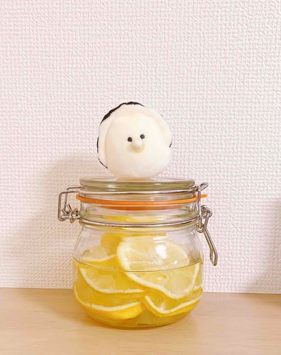 あけましておめでとうございます〜！
レモンの砂糖漬けをお裾分けいただいたので氷砂糖が溶け次第レモネード飲み放題となります。コップを持ってお待ちください〜！