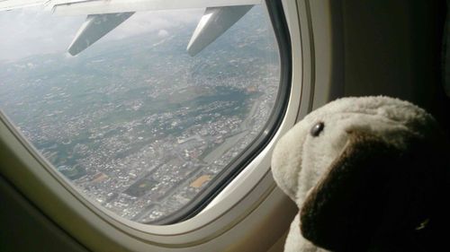 小さい頃からずっと一緒にいる犬のぬいぐるみです🐶
田舎のお祭りの景品でもらったもので、ばあちゃん家に飾ってあったのを小さい私が気に入ったらしく、それからずっと一緒にいます。
キャラクターものではないので、他にも同じぬいぐるみが存在するのかずっと気になっていて探しています！！