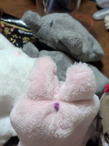 （ぼりぼり…）
きんだんの　しんや　おやつちゅう…
ごろに　みつかるまえに　たべ