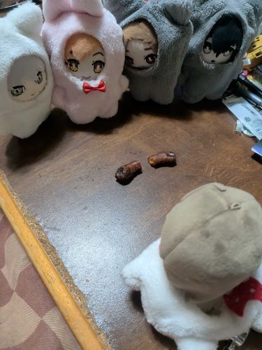 みつかりました
ごろは　しんやおやつ　きんしは　です