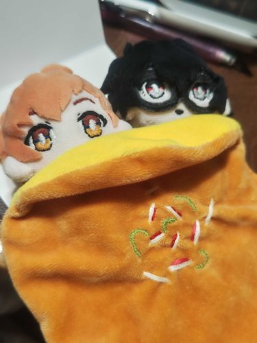 そら:さいきん　しゃしん　とれてないから　きょねんの　しゃしん　だしてみる
これ　てんしんはん　の　おふとん