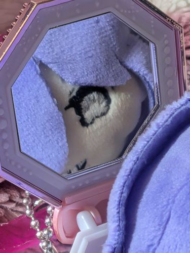 おっ
きょうみぶかいSNSはっけん
