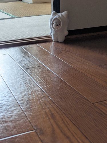 りく:しんきょ　にて　げんざい　にもつ　いどうちゅう
うまれて　ほぼ　すぐ　ひっこし　なんて　れあ　な　たいけん　だ