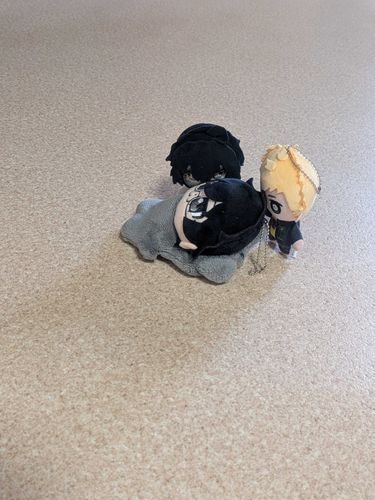 あきら:さむすぎて　もちぬしもろともちょうしがすぐれなかった…そらがきぐるみをかしてくれたんだが、からだはぴったりだったがあたまがまったくはいらなかった。きもちはうれしかったぞ
