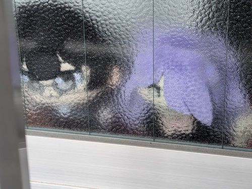 そら:ひっこしさぎょう ようやく ひとだんらく
あまりにも ながかった…
というわけで ひっこしで ばたついてた いっかげつかん の しゃしん ほうしゅつ
これは あきら と まりなねえさん の まどべた