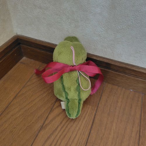 わに、昨日お出かけ連れて行かなくてごめんね