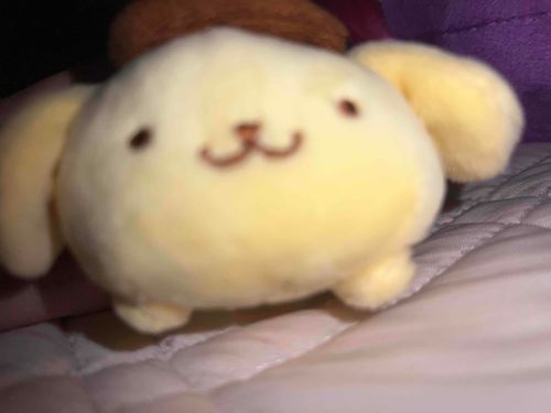 ぷいんぷいん