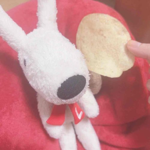このポテチいさの顔ぐらいある