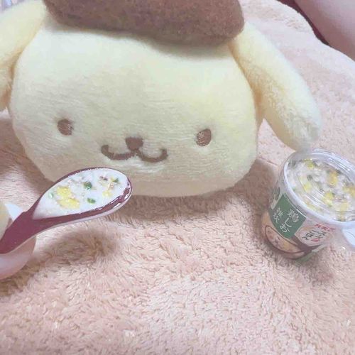 ちょっとぞうすい