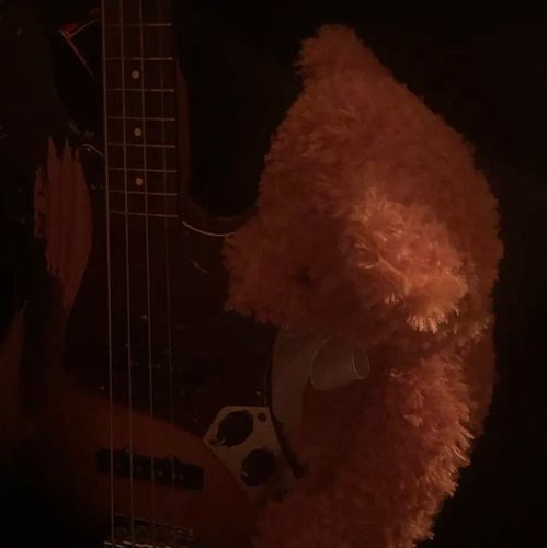 ちいさなころから人形と楽器が好きです