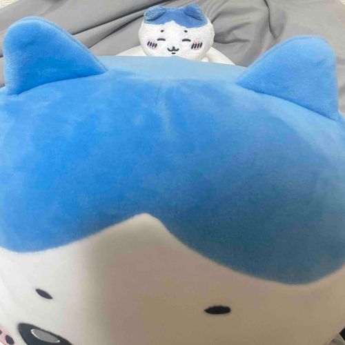 ちょこん