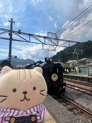SLかっこいいです！🚂
ぐんまちゃんはかわいいです！🥰