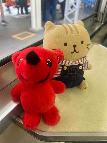 チャチャのお友達を紹介します！チーバくん。しーちゃんとチャチャと一緒に、全国のゆるキャラに会うために旅をしています。食いしん坊なわんこさん……ではなくふしぎな生き物🐶犬じゃないらしいです！😳チャチャと同じく食いしん坊🤤しーちゃんも食いしん坊なので、みんな揃って食いしん坊です🍴