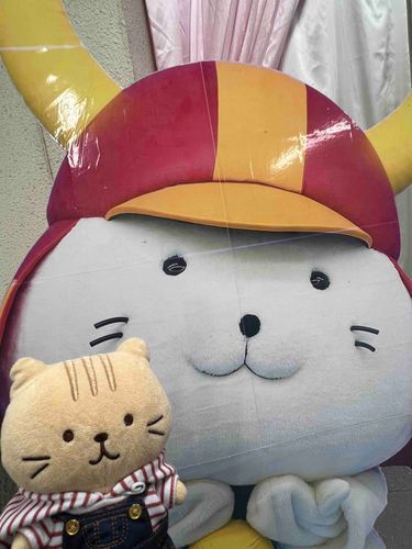 彦根に行きました🏯ひこにゃんさんに会いました😺