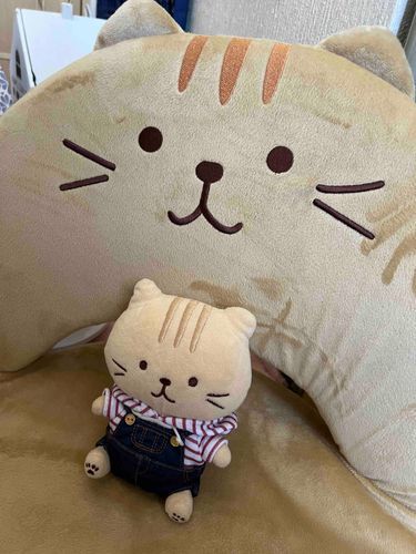 チャチャの座椅子です！😺