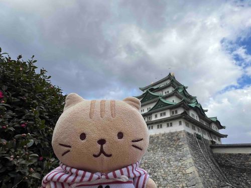 にゃごやじょうです🏯えびふりゃーーー！！！