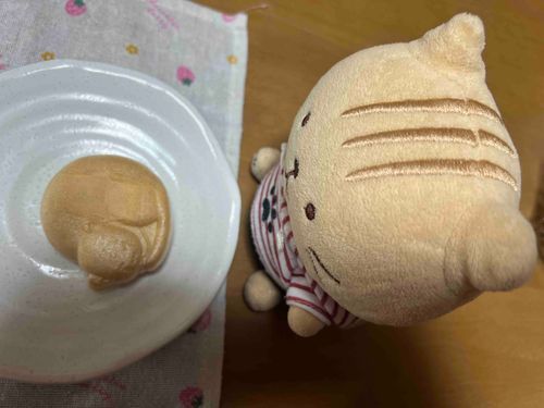ねこもなか🐱いただきます😋