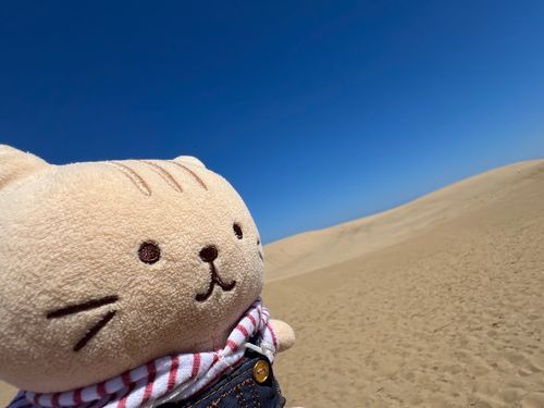 砂漠探検隊❣️
と思ったらすぐに海を発見👀
鳥取砂丘です🏜️