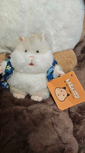 はむにぎりお迎え！