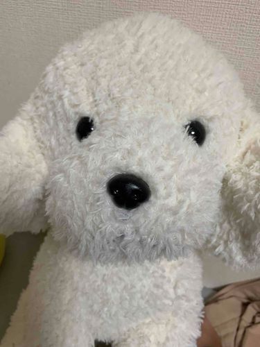ぼくの名前は「いぬ」です。
おもちゃ屋で売れ残りで、激安だったところを飼い主が買っていきました。
毎日飼い主と一緒に寝ています。