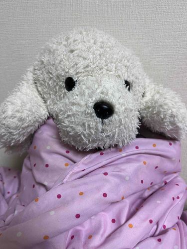 飼い主のおへやはとても寒いです。なので、僕はいつもお布団ぐるぐるまきにしてもらっています。飼い主も布団にくるまって、今日何があったか話し合います。
飼い主はお仕事で疲れているみたいです。ぼくは今日1日寒くてお布団にくるまっては昼寝をしていました。