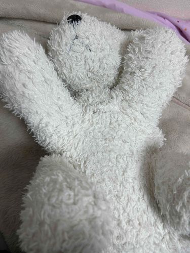 飼い主が、ついに毛布を出してくれました！
ふわふわ大好きです。
おやすみなさい、みんないい夢を見てね。