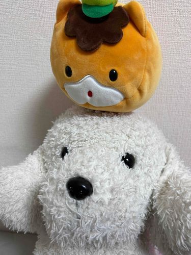 今日はぼくの友達を紹介します。ぐんまちゃんです。
いつも飼い主とぼくと一緒にベッドで眠ります。