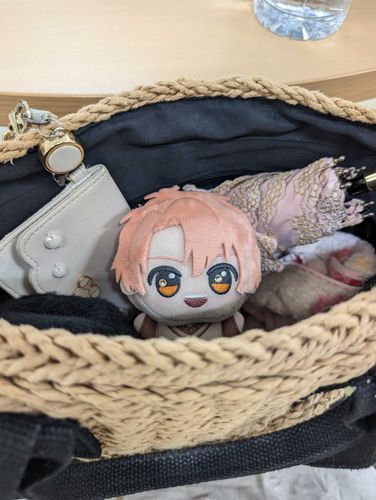 さいきんまいにちかいぬしのバッグに入れられてる……