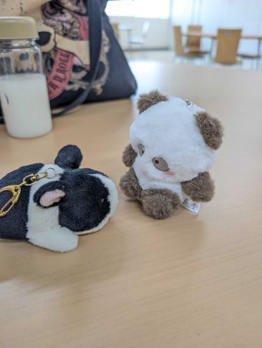 ぽぽのはじめてのおともだち