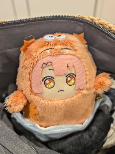 バッグのなかで、かいぬしおうえんちゅう
かいぬし、かえりたいらしい