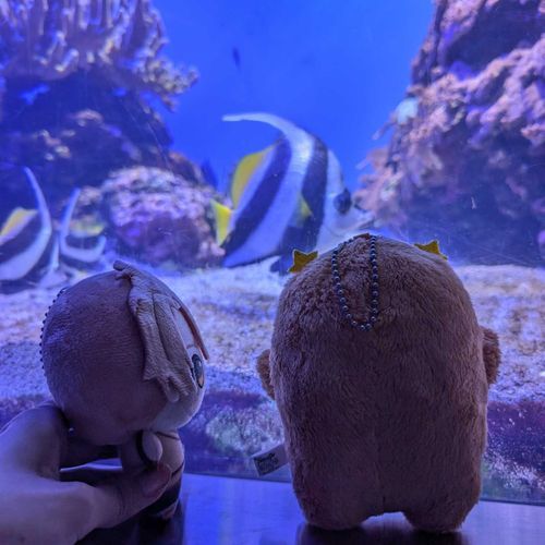 ちびみつにとって初めてのすいぞくかんだな！
